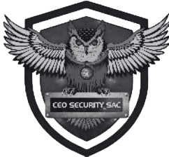CEO Security